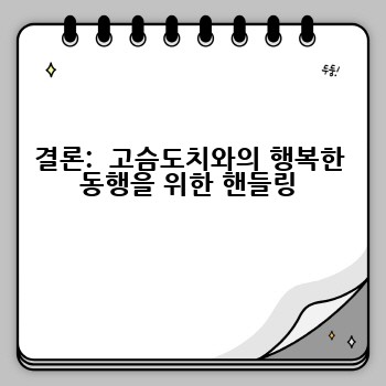 결론:  고슴도치와의 행복한 동행을 위한 핸들링