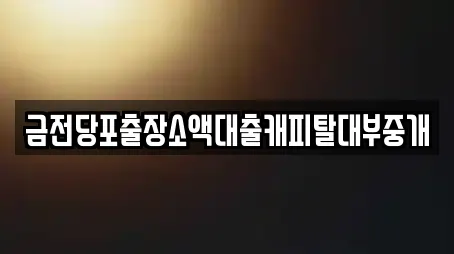 금전당포출장소액대출캐피탈대부중개
