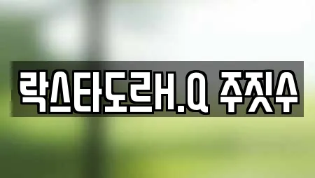 락스타도르H.Q 주짓수