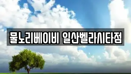 물노리베이비 일산벨라시타점