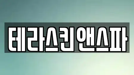 테라스킨앤스파