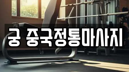 궁 중국정통마사지