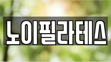 노이필라테스