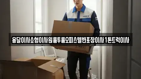 용달이사소형이사원룸투룸오피스텔반포장이사1톤트럭이사