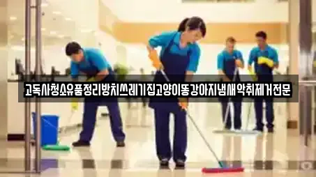 고독사청소유품정리방치쓰레기집고양이똥강아지냄새악취제거전문