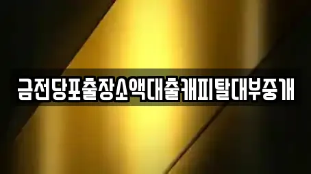 금전당포출장소액대출캐피탈대부중개