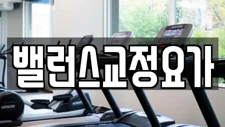 밸런스교정요가