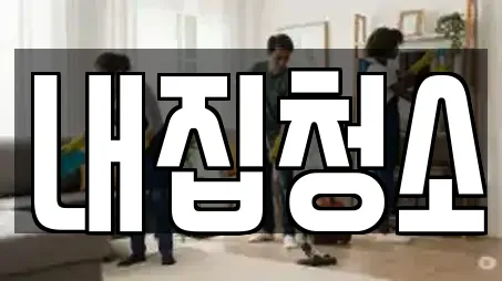 내집청소