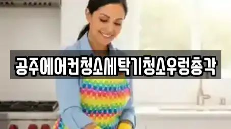 충남 공주시 무릉동 청소업체 실시간 견적 업체 9곳