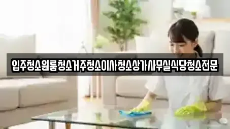 입주청소원룸청소거주청소이사청소상가사무실식당청소전문