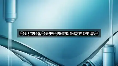 누수탐지업체수도누수공사하수구뚫음화장실싱크대막힘아파트누수