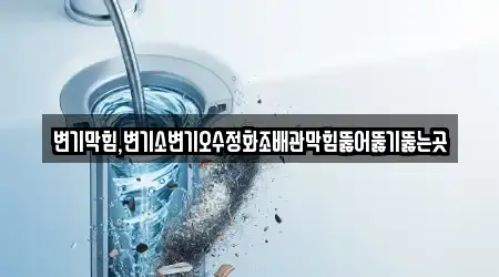 변기막힘,변기소변기오수정화조배관막힘뚫어뚫기뚫는곳