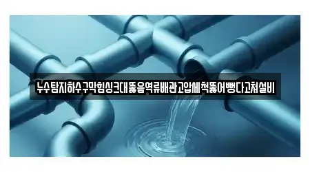 누수탐지하수구막힘싱크대뚫음역류배관고압세척뚫어뻥다고쳐설비