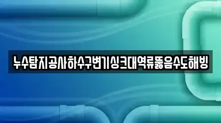 누수탐지공사하수구변기싱크대역류뚫음수도해빙