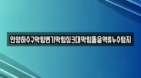 안양하수구막힘변기막힘싱크대막힘뚫음역류누수탐지