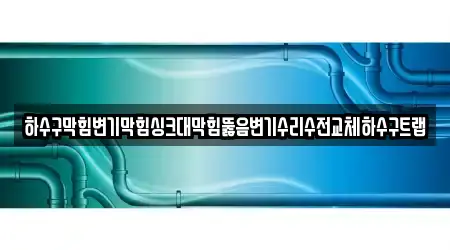 하수구막힘변기막힘싱크대막힘뚫음변기수리수전교체하수구트랩