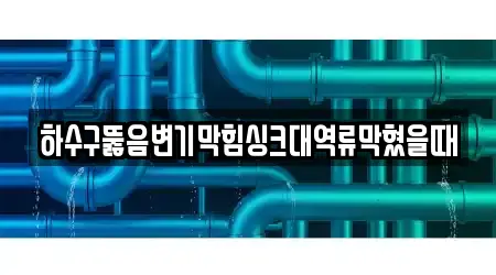 하수구뚫음변기막힘싱크대역류막혔을때