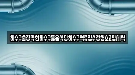 하수구출장막힌하수구뚫음식당하수구역류집수정청소고압세척