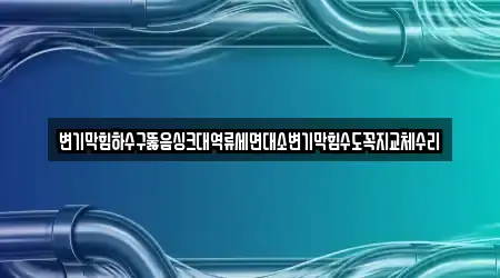 변기막힘하수구뚫음싱크대역류세면대소변기막힘수도꼭지교체수리