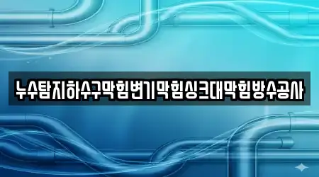 누수탐지하수구막힘변기막힘싱크대막힘방수공사