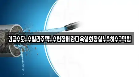 긴급수도누수빌라주택누수천장베란다욕실화장실누수하수구막힘