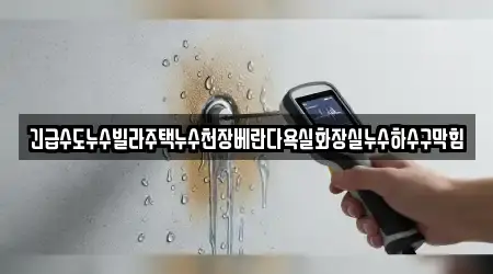 긴급수도누수빌라주택누수천장베란다욕실화장실누수하수구막힘