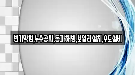 변기막힘,누수공사,동파해빙,보일러설치,수도설비