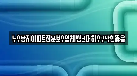 누수탐지아파트전문보수업체씽크대하수구막힘뚫음
