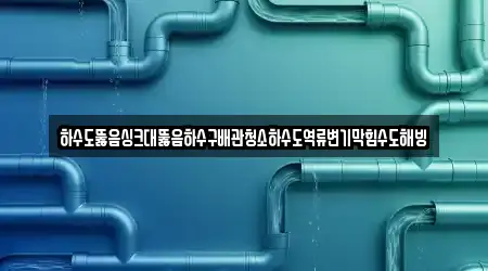 하수도뚫음싱크대뚫음하수구배관청소하수도역류변기막힘수도해빙