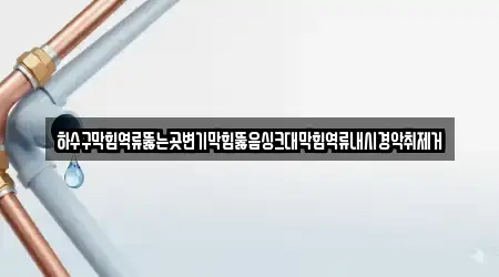 하수구막힘역류뚫는곳변기막힘뚫음싱크대막힘역류내시경악취제거
