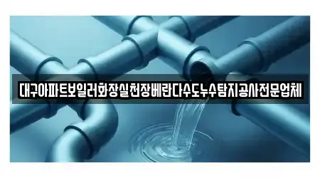 대구아파트보일러화장실천장베란다수도누수탐지공사전문업체