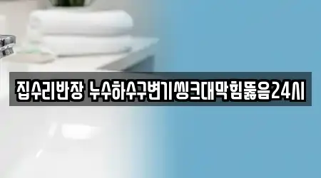 집수리반장 누수하수구변기씽크대막힘뚫음24시