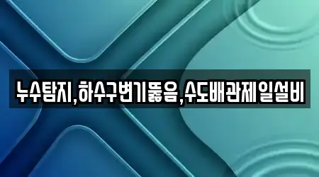 누수탐지,하수구변기뚫음,수도배관제일설비