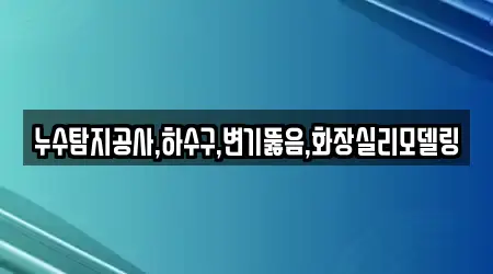 누수탐지공사,하수구,변기뚫음,화장실리모델링