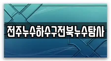 전주누수하수구전북누수탐사