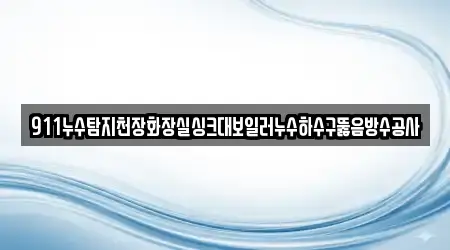 911누수탐지천장화장실싱크대보일러누수하수구뚫음방수공사