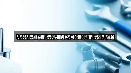 누수탐지업체공사난방수도배관온수화장실싱크대막힘하수구뚫음