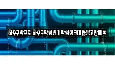 서산 인지면 변기막힘 업체 체크 12건