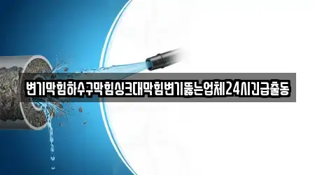 변기막힘하수구막힘싱크대막힘변기뚫는업체24시긴급출동