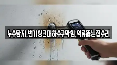 누수탐지,변기싱크대하수구막힘,역류뚫는집수리
