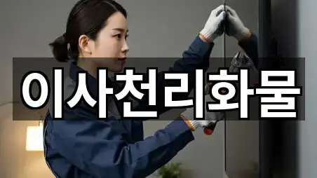 경남 진주시 옥봉동 포장이사 4곳 — 지도/주소