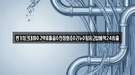 변기싱크대하수구역류뚫음수전정화조수리누수탐지고압세척24시출