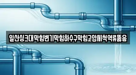 일산싱크대막힘변기막힘하수구막힘고압세척역류뚫음