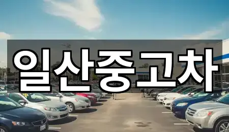 일산중고차
