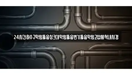 24시간하수구막힘뚫음싱크대막힘뚫음변기뚫음막힘고압세척내시경