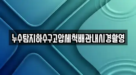 누수탐지하수구고압세척배관내시경촬영
