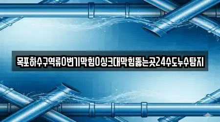 14 집중 변기막힘 전라남도 목포시 호남동 업체