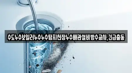 수도누수보일러누수누수탐지천장누수배관설비방수공사,긴급출동