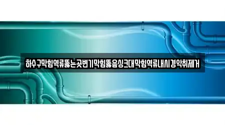 하수구막힘역류뚫는곳변기막힘뚫음싱크대막힘역류내시경악취제거