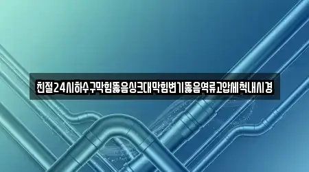 친절24시하수구막힘뚫음싱크대막힘변기뚫음역류고압세척내시경